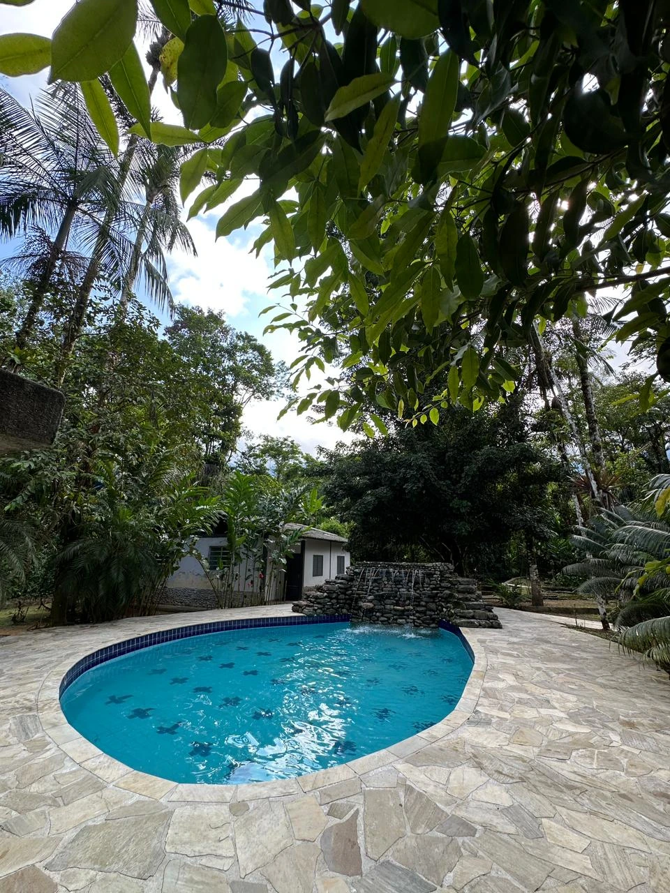 whatsapp_image_2025_10_27_at_12_37_37_1x